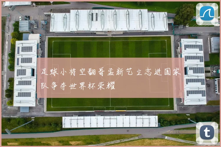足球小将空翻哥孟新艺立志进国家队争夺世界杯荣耀